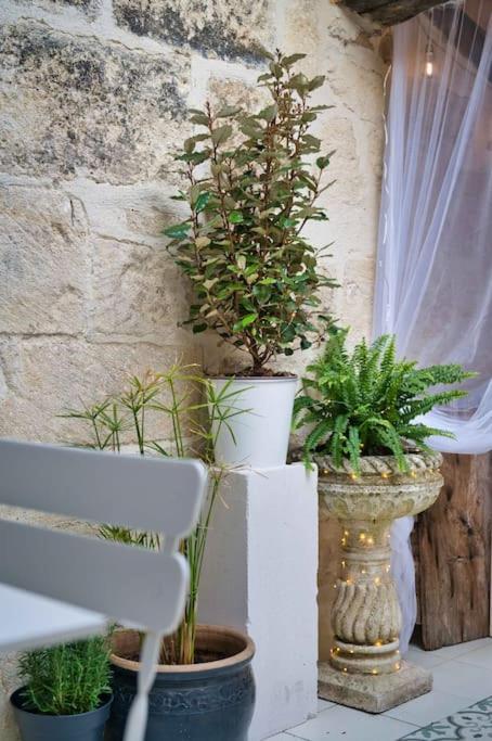 Uzès Appartement-Terrasse Centre Historique מראה חיצוני תמונה